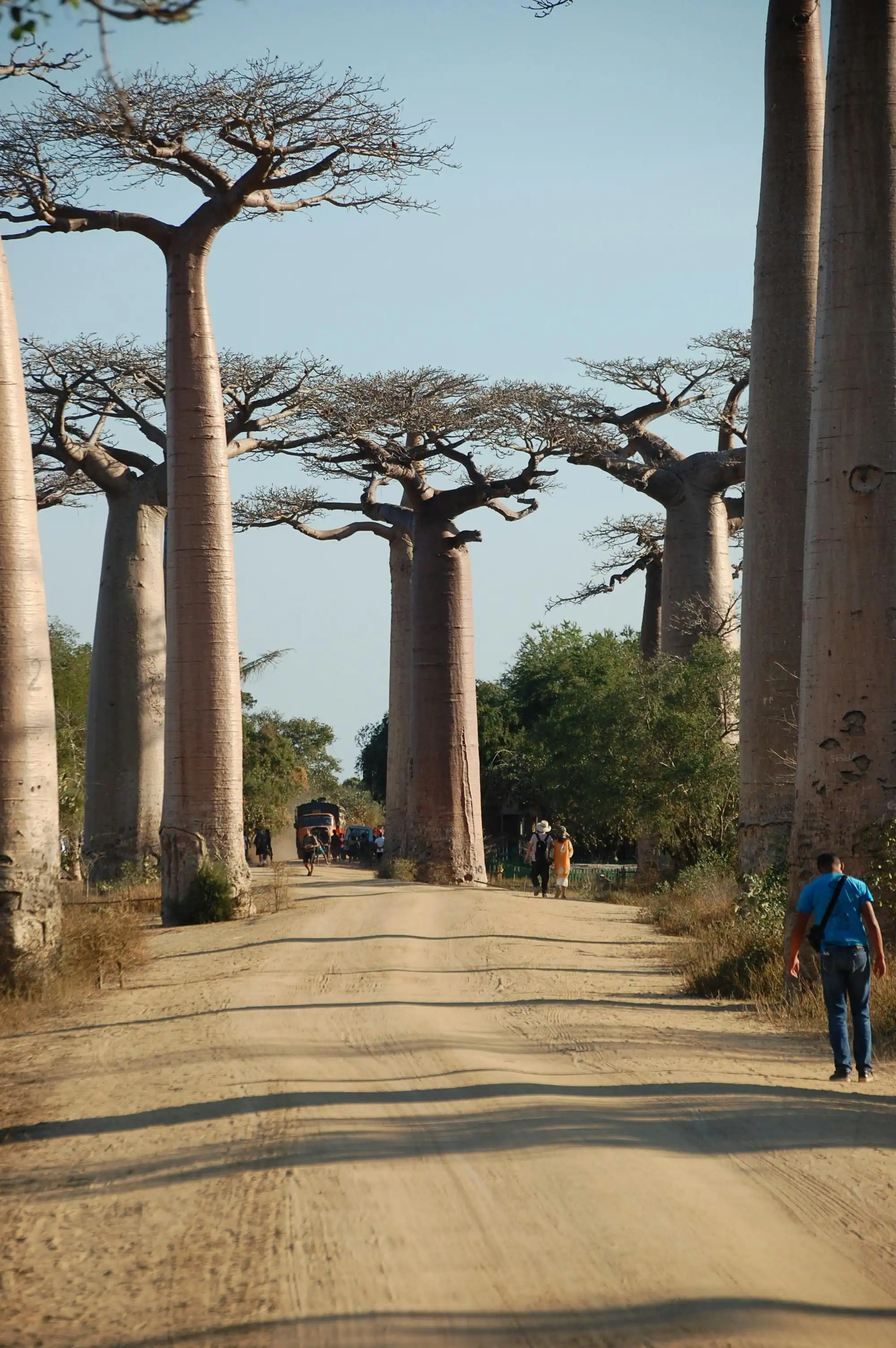 Discover the culture and history of Madagascar