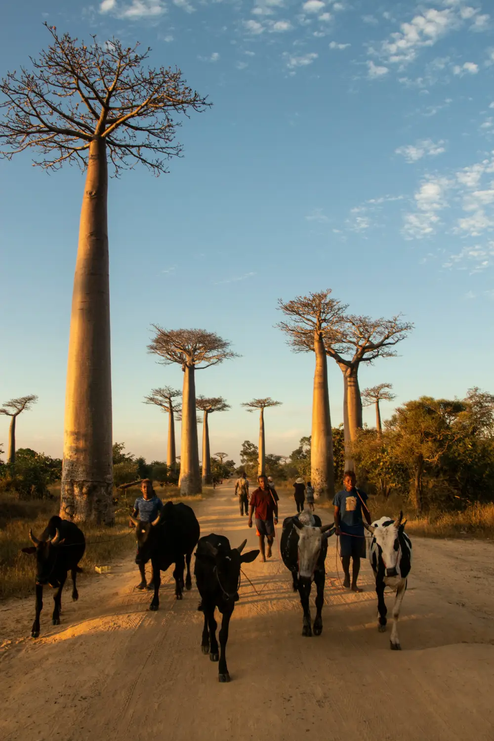 Exploration Adventures in Madagascar