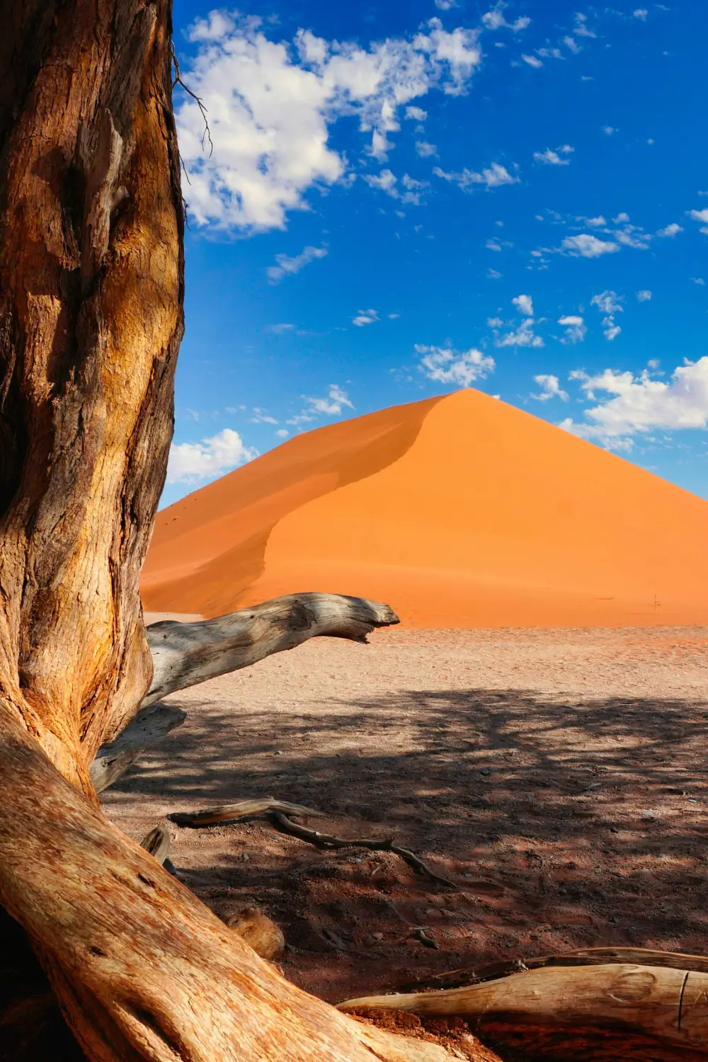 Desert exploration in Namibia