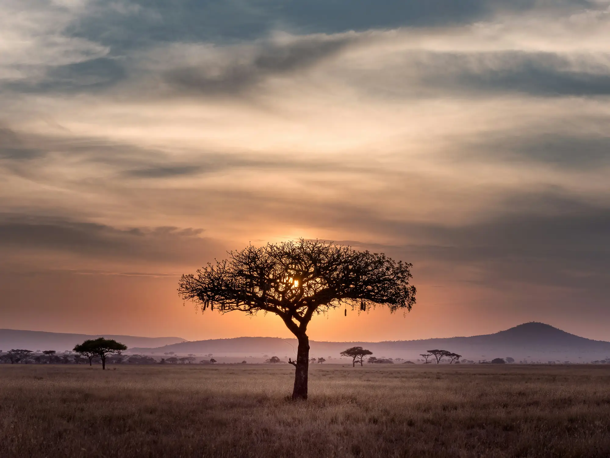 Treasure Tanzania A Diverse Safari of a Lifetime.