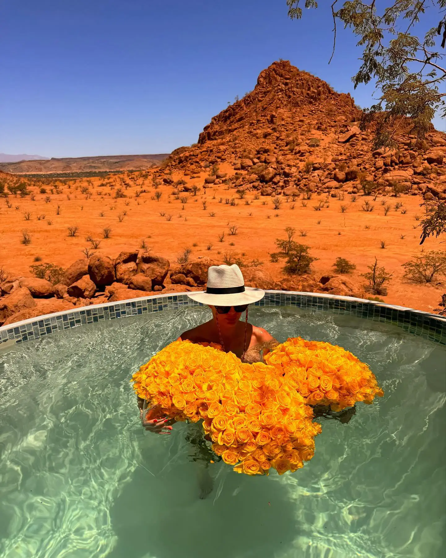 Someone swimming in a pool full of flowers in an African desert