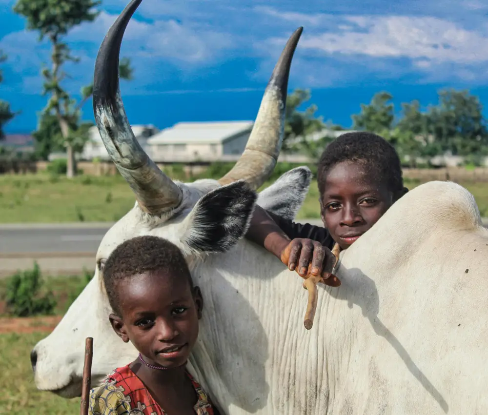 Maasai Mara, Kenya