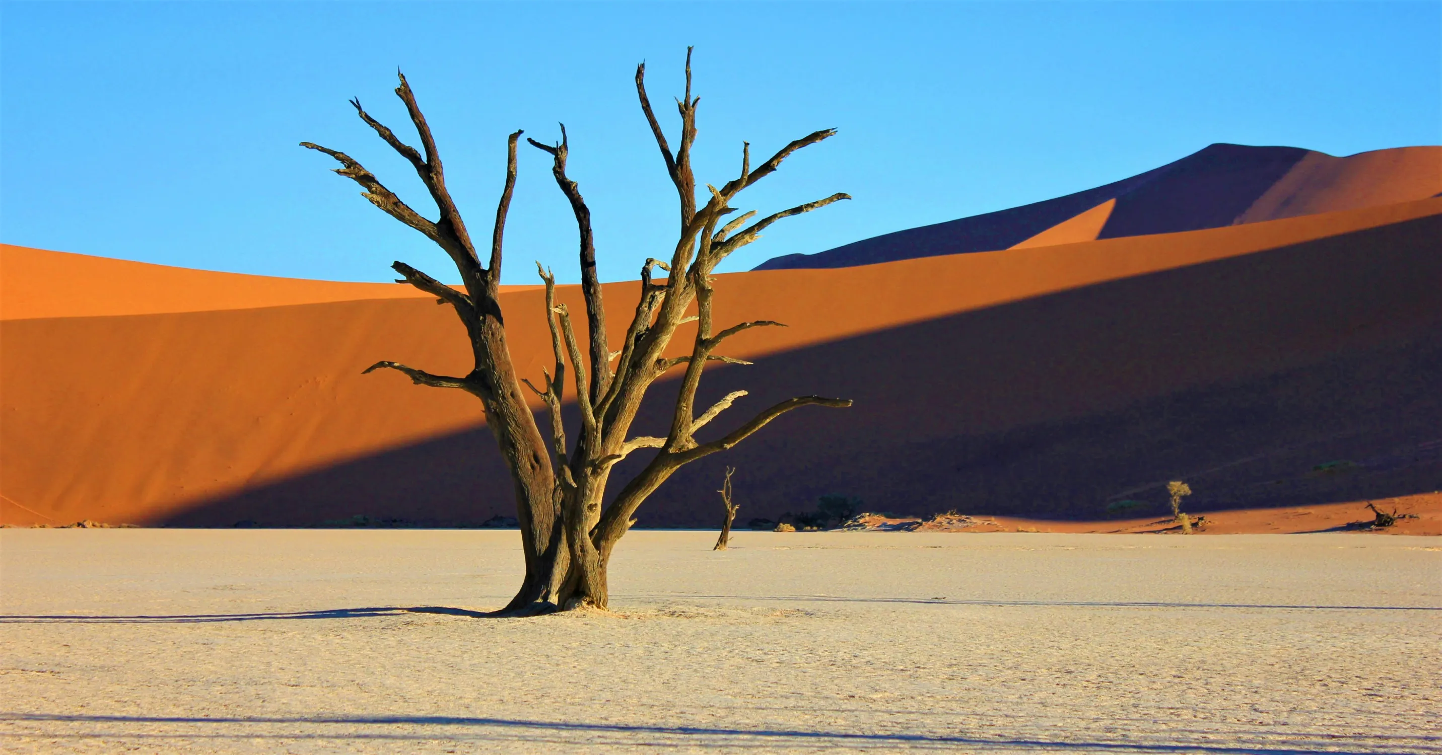 Namib Desert