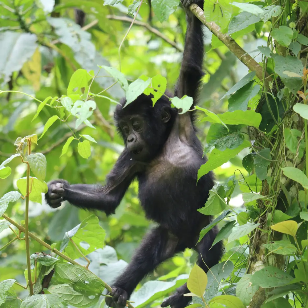 Exploration and adventure in Rwanda