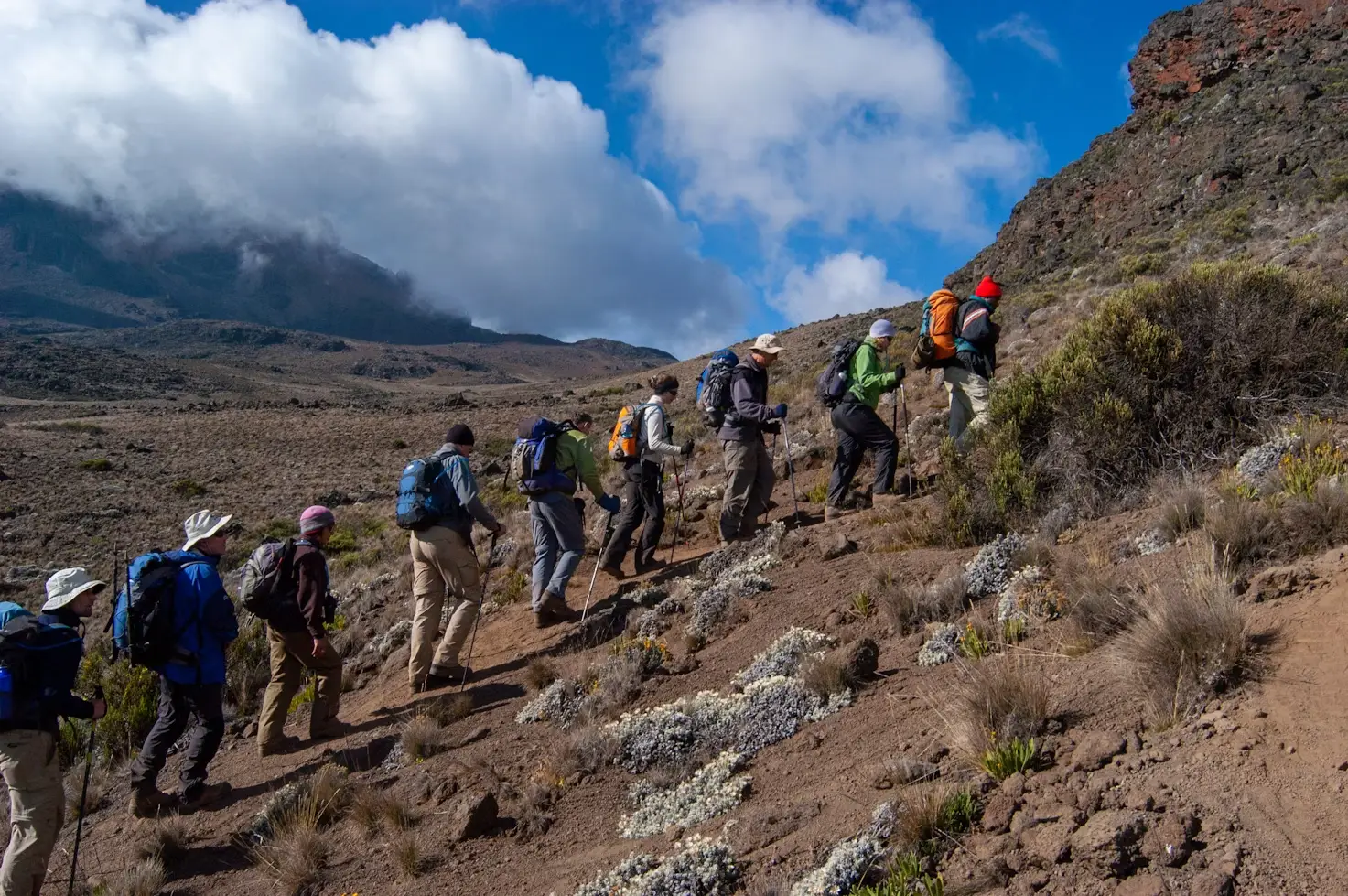 A group of people hiking up Mount Kilimanjaro in Tanzania.