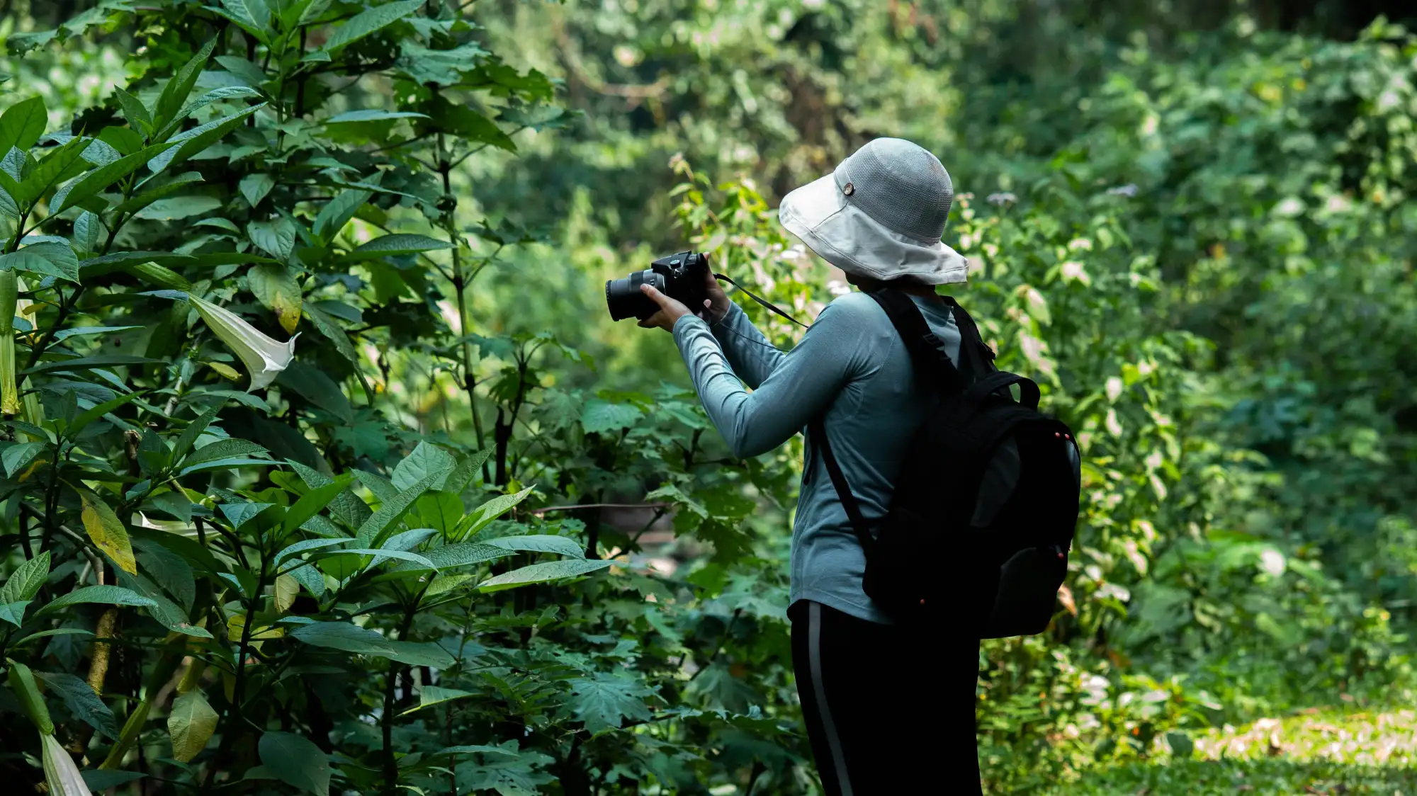 A tourist taking a photo of the beautiful forests in Uganda.