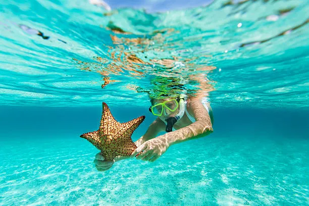 Someone diving in the clear blue waters of Zanzibar.